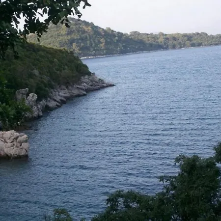 Laura - Mljet 아파트 *