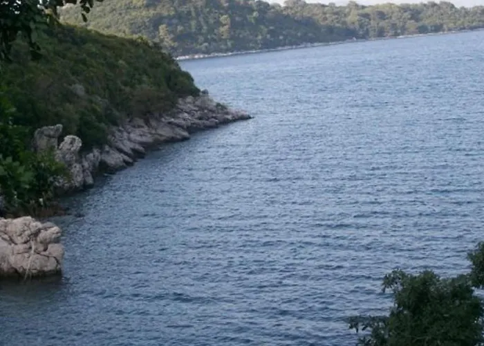 Laura - Mljet 아파트 *
